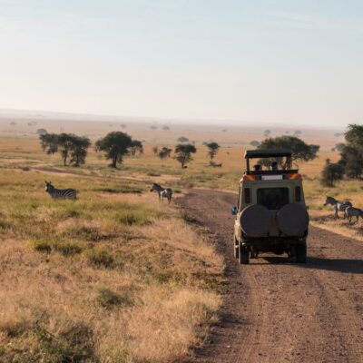 5 popular wildlife safari destinations